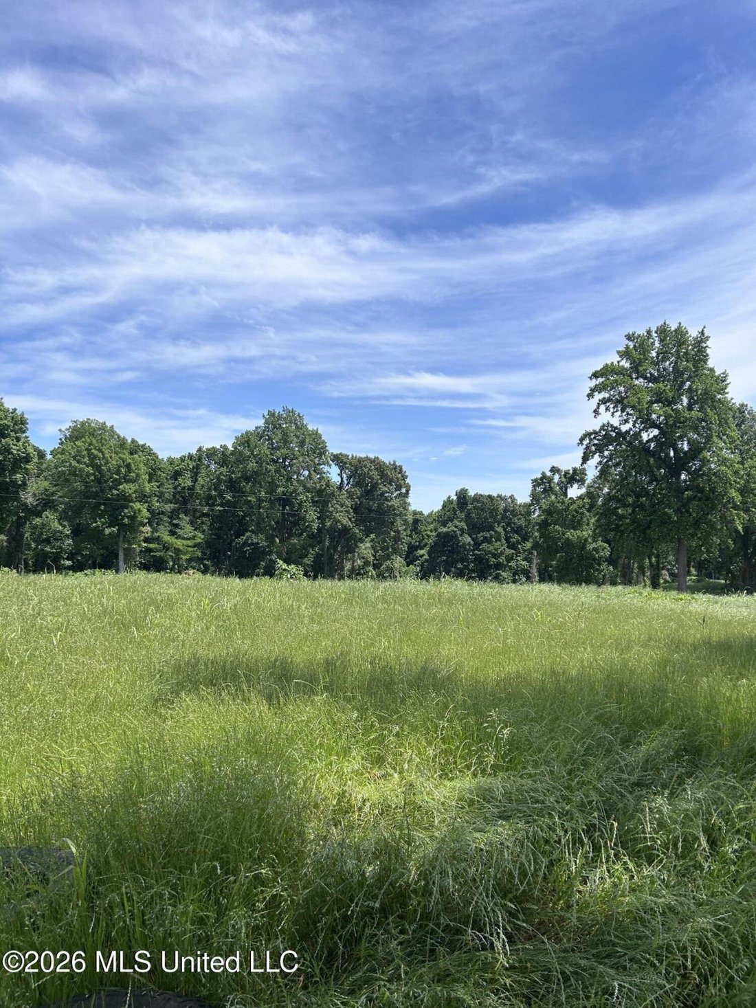 Land in Walls, Mississippi, United States 2 - 17900846