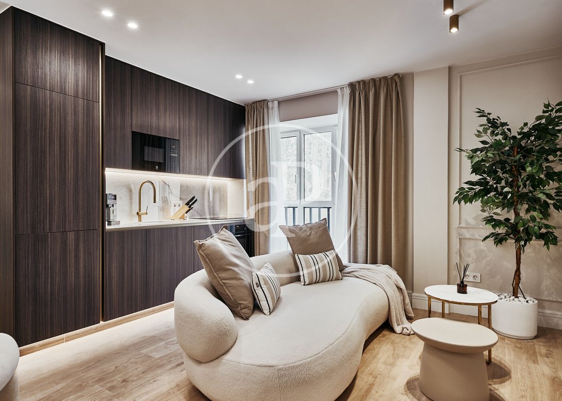Apartment in Centro, Madrid, Spain 1 - 17901983