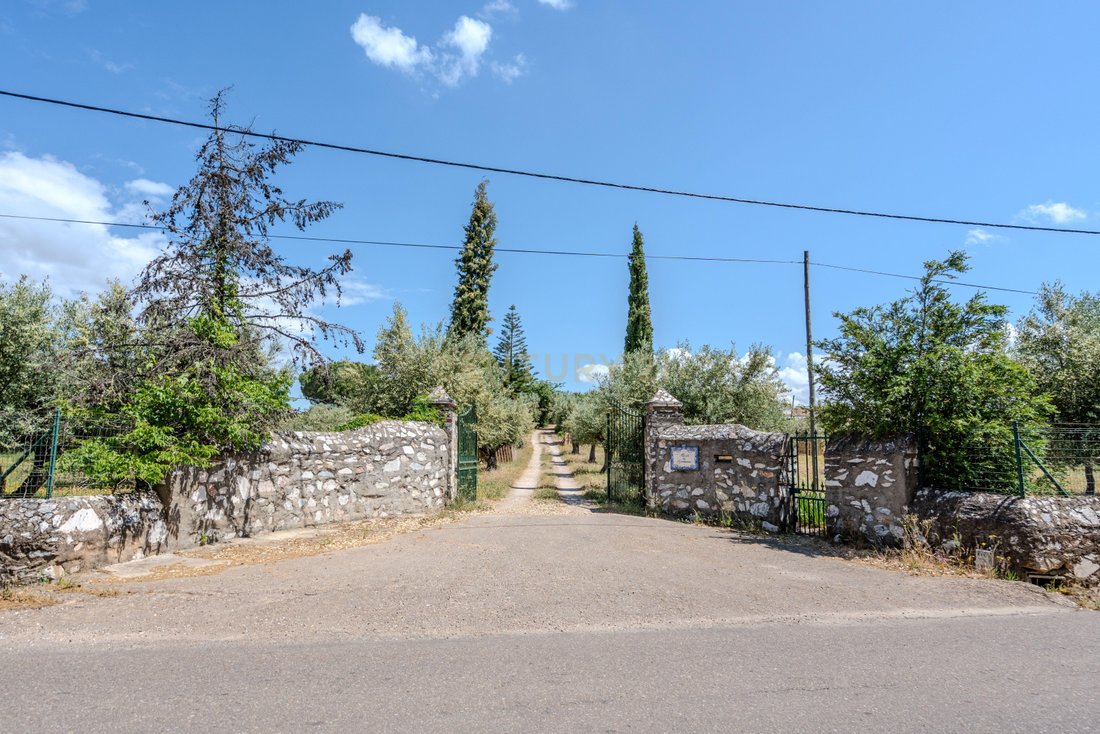 Farm Ranch in Rio de Moinhos, Évora District, Portugal 2 - 16835193