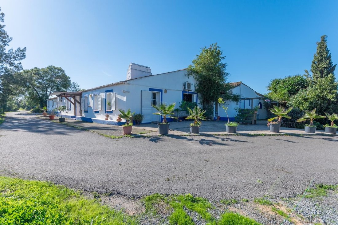 Landhaus in Figueira dos Cavaleiros, Beja, Portugal 4 - 17897718