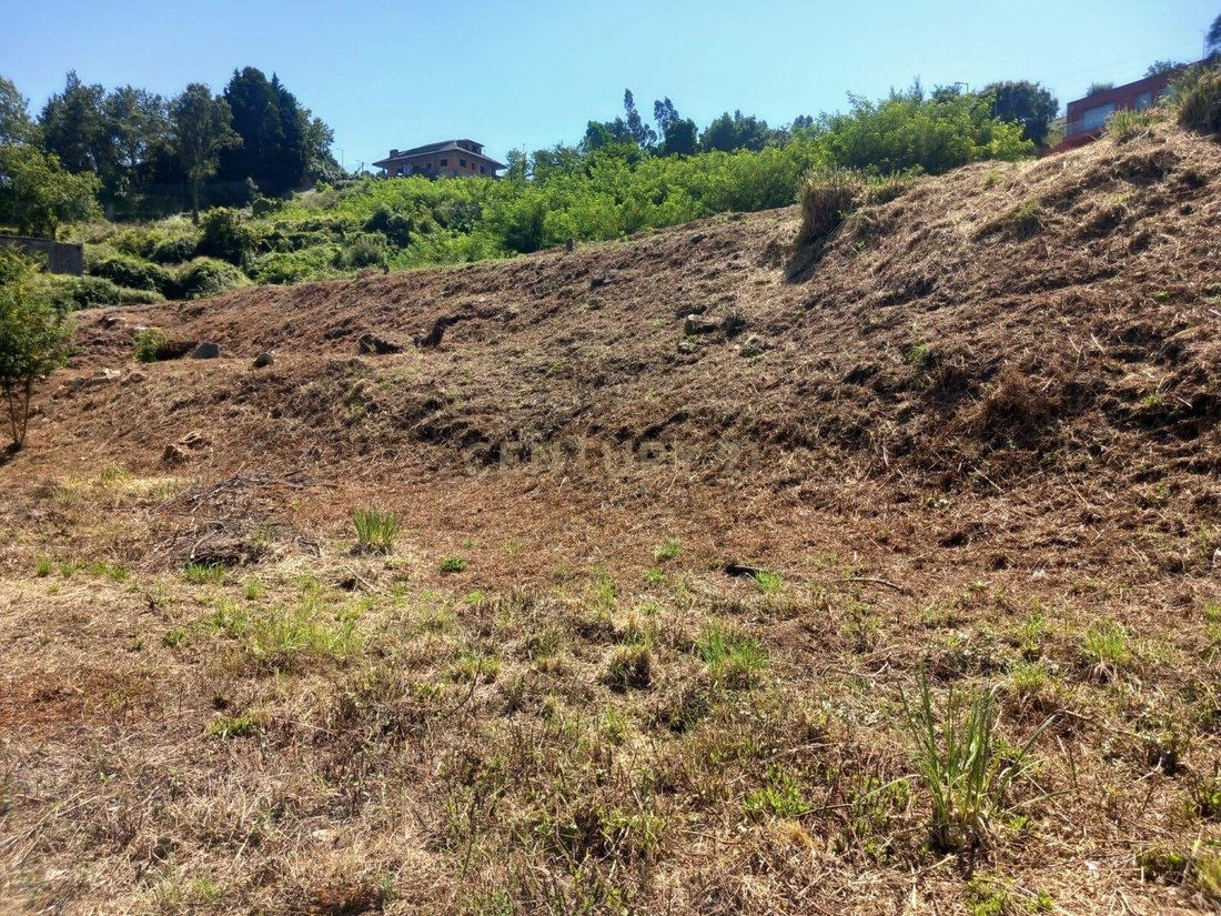 Land in Oliveira do Douro, Porto District, Portugal 4 - 17488832