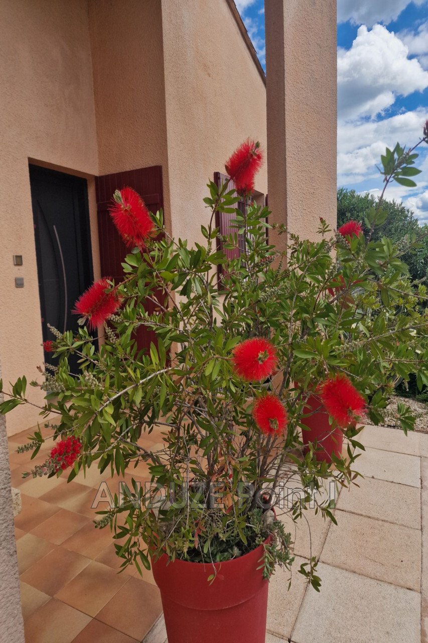 Villa in Anduze, Occitania, France 4 - 17896532