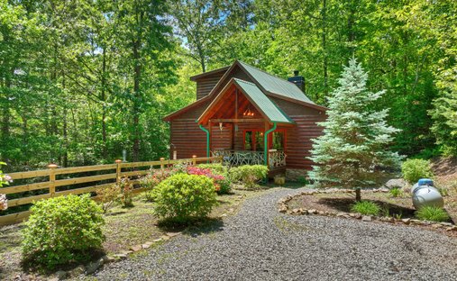 House in Blue Ridge, Georgia, United States 1