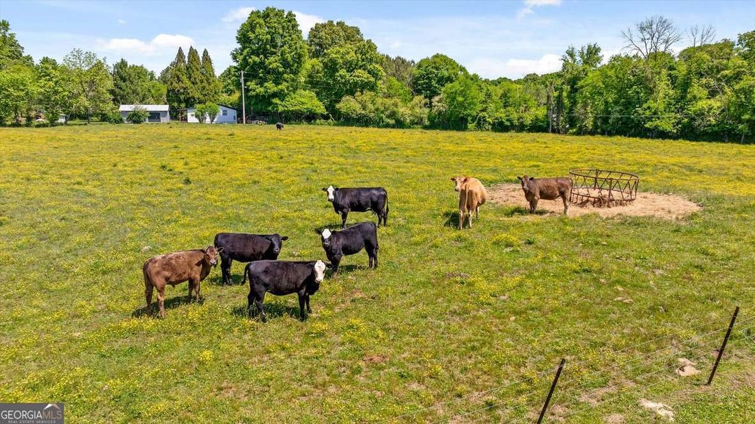 Farm Ranch in Chatsworth, Georgia, United States 5 - 17899757