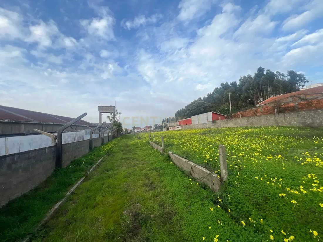 Land in Canelas, Porto District, Portugal 2 - 17488430