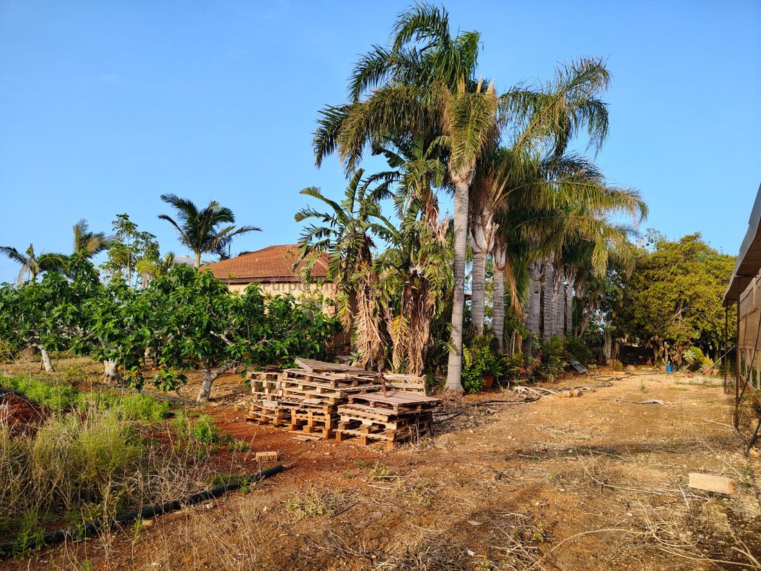 Bungalow in Ormideia, Cyprus 1 - 17897730