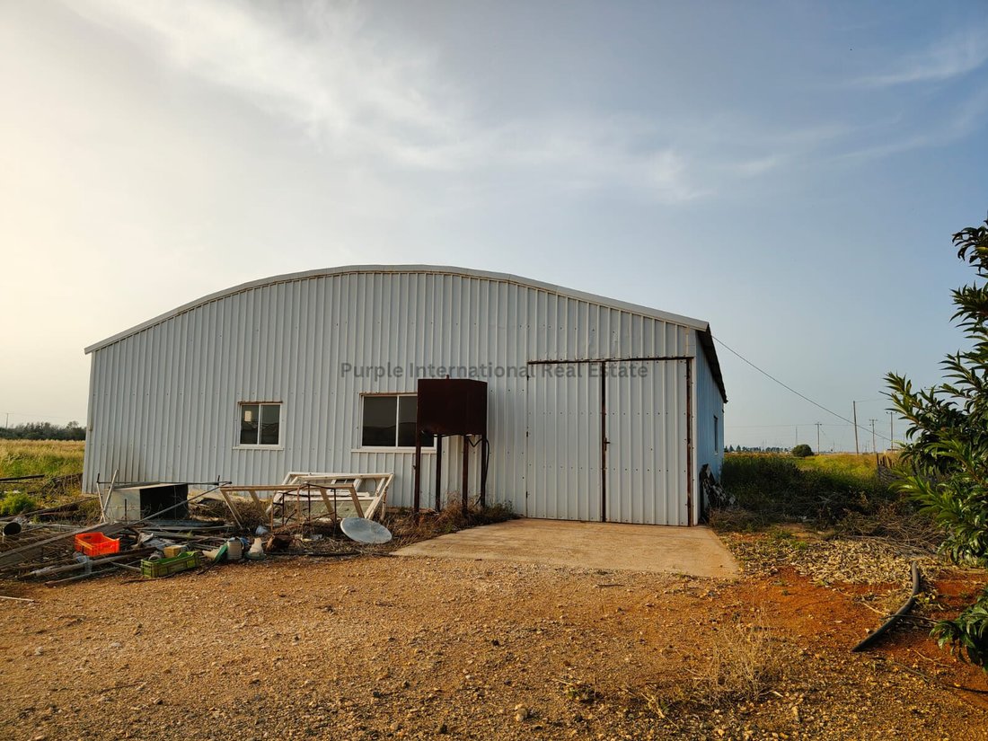 Bungalow in Ormideia, Cyprus 4 - 17897730