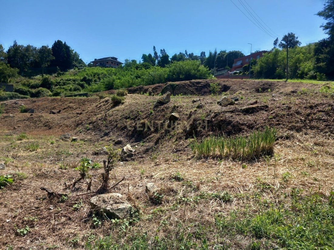 Land in Oliveira do Douro, Porto District, Portugal 5 - 17488832