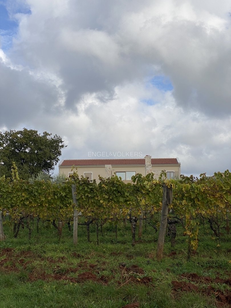 House in Vrh Lasici, Istria County, Croatia 4 - 17899552