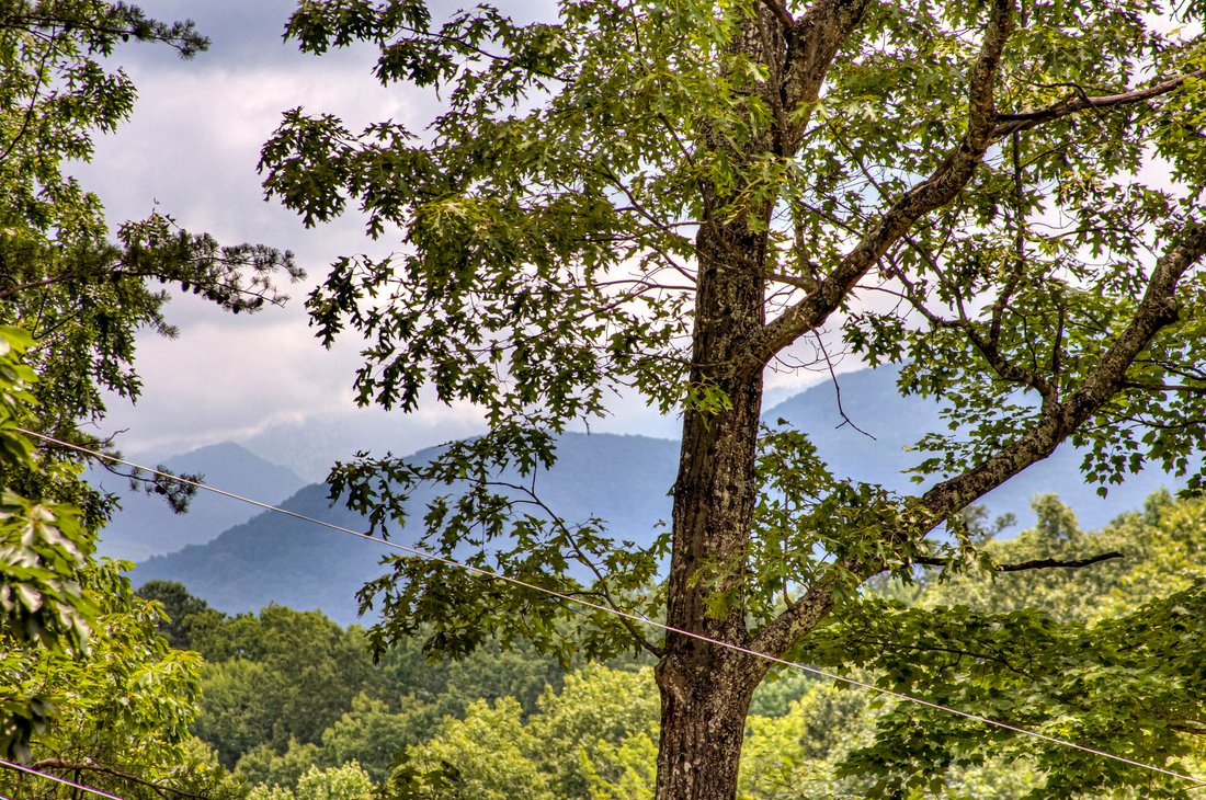 House in Gatlinburg, Tennessee, United States 2 - 17897921