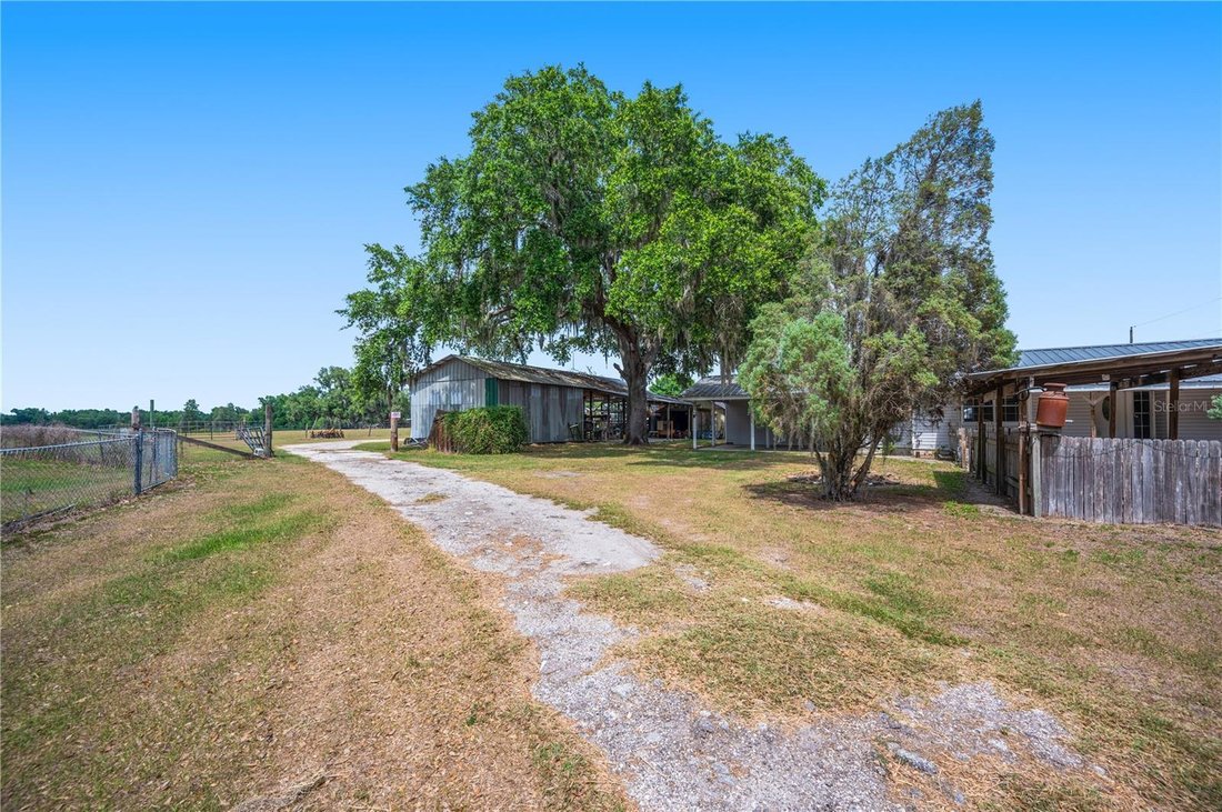 House in Plant City, Florida, United States 4 - 17898504