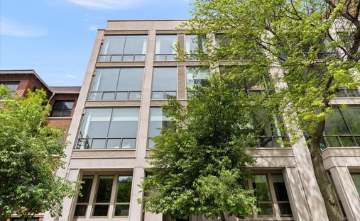 Condo in Chicago, Illinois, United States 1