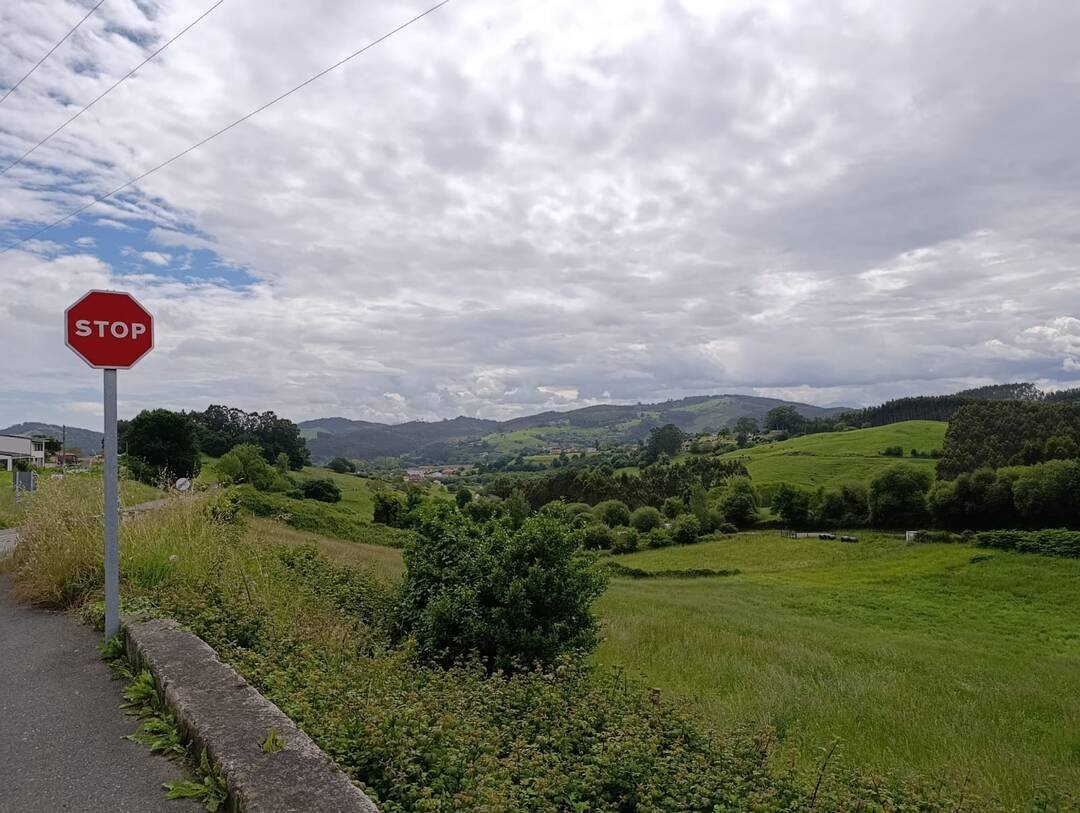 Land in Pielagos, Cantabria, Spain 5 - 17888510