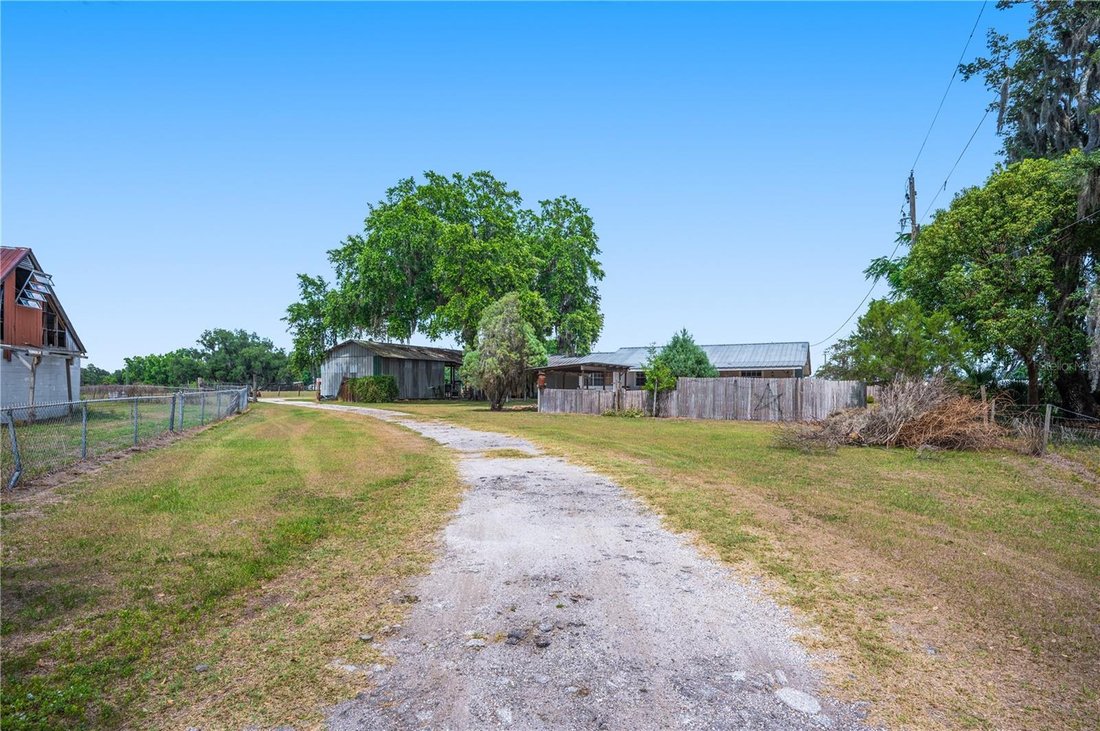 House in Plant City, Florida, United States 3 - 17898504