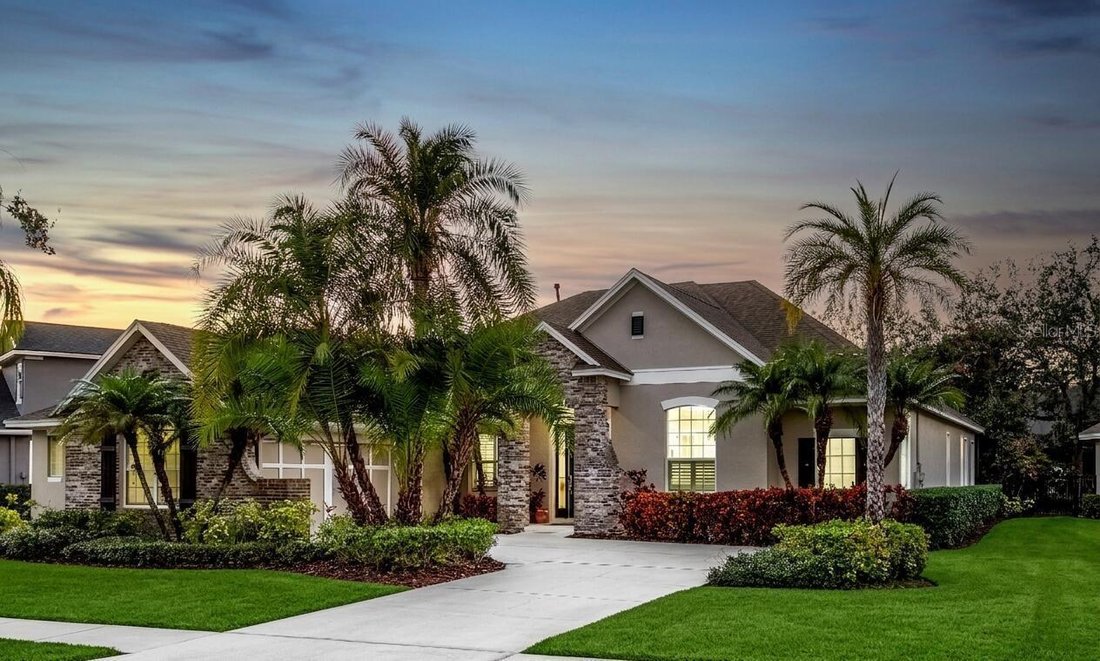 House in Tampa, Florida, United States 1 - 17802418