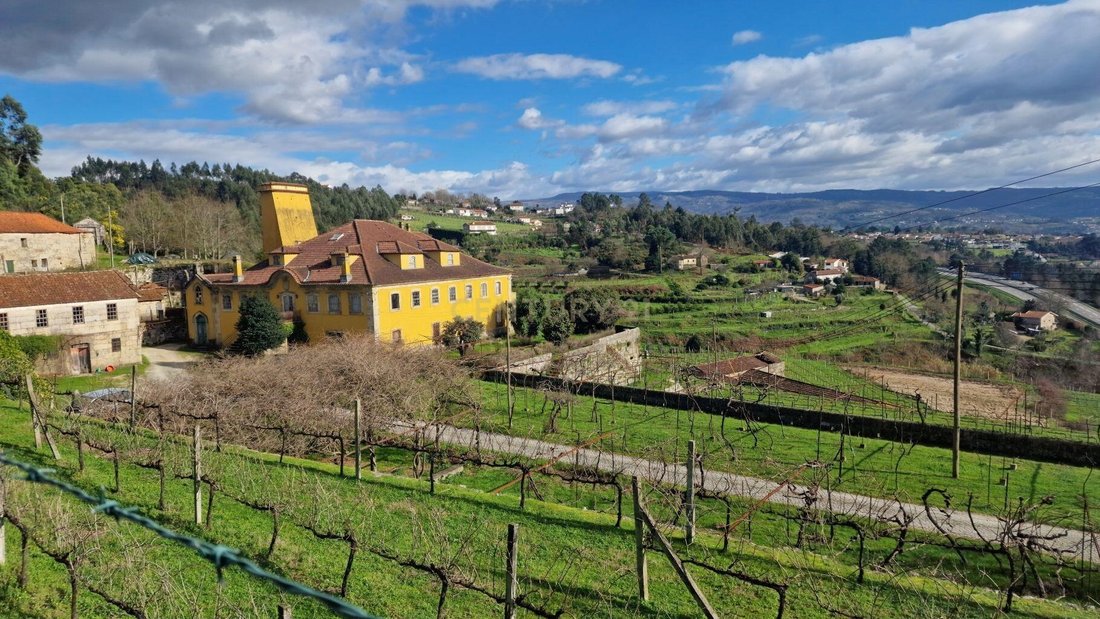 Farm Ranch in Vila Caiz, Porto District, Portugal 1 - 17488838