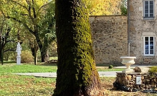Magnificent Medieval Castle Overlooking The Lot Valley, With Swimming Pool, Outbuildings, Near Figea