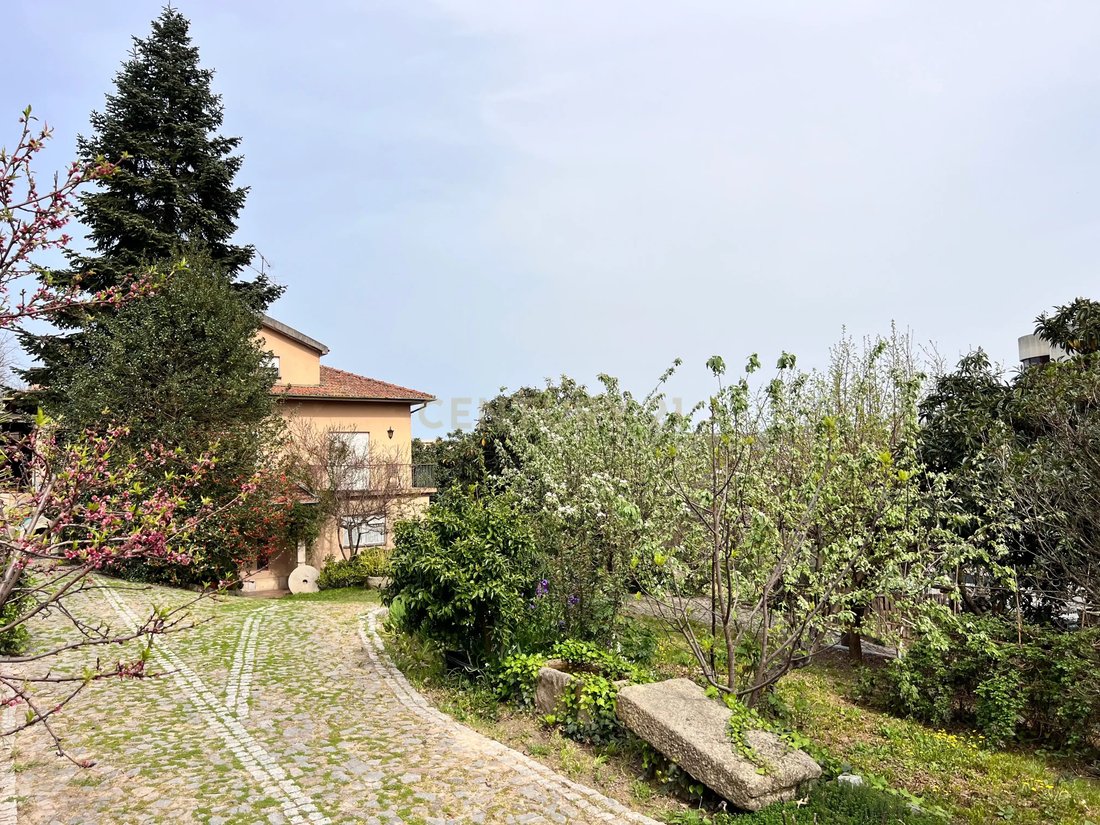Villa in Vila Real, Vila Real District, Portugal 5 - 17488103