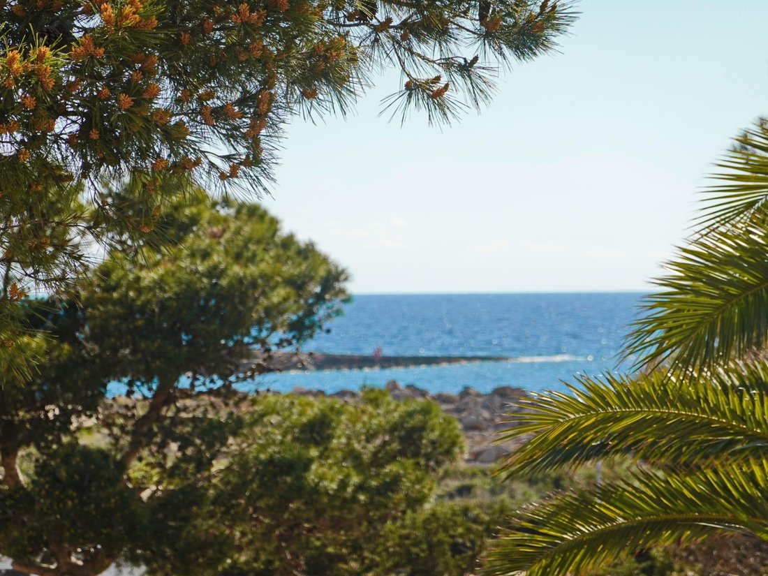 Apartment in ses Salines, Balearic Islands, Spain 2 - 17508692