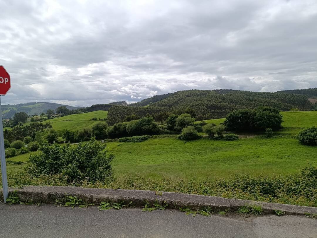 Land in Pielagos, Cantabria, Spain 3 - 17888510