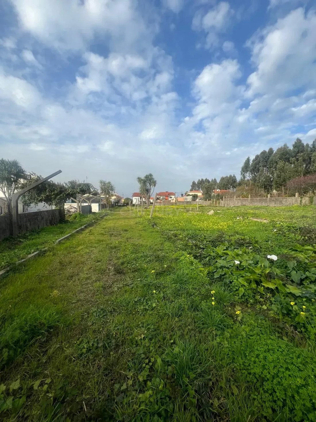 Land in Canelas, Porto District, Portugal 1 - 17488430