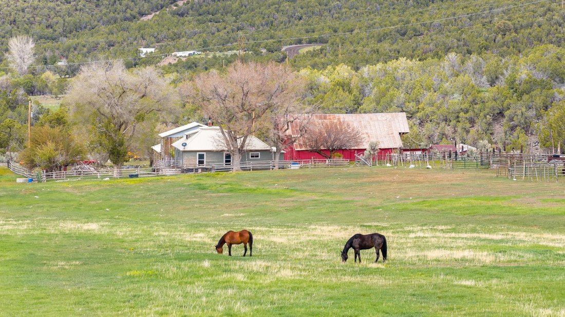 House in Molina, Colorado, United States 1 - 17895327