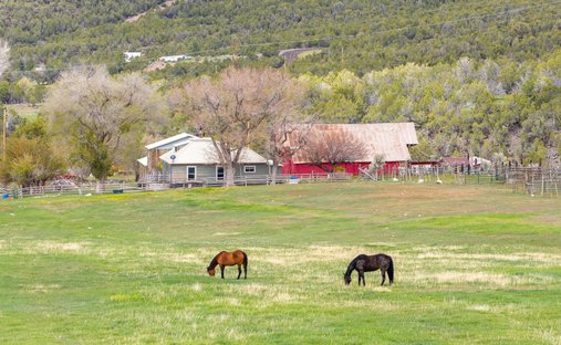Haus in Molina, Colorado, Vereinigte Staaten 1