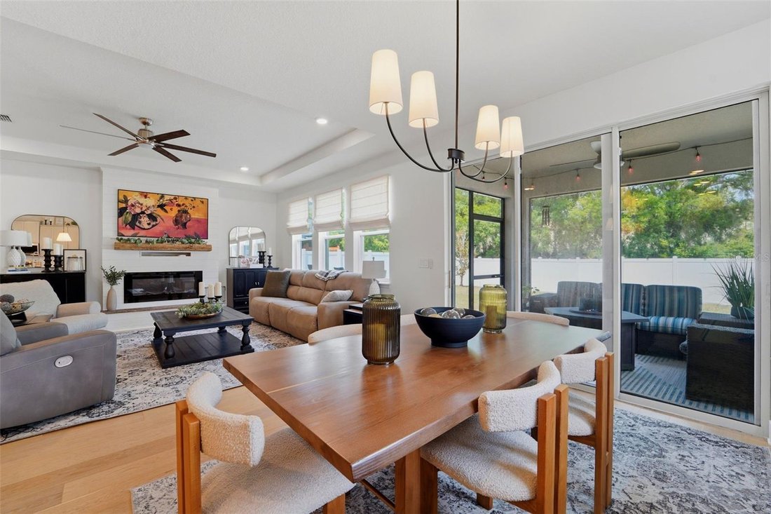 House in Tampa, Florida, United States 4 - 17898472