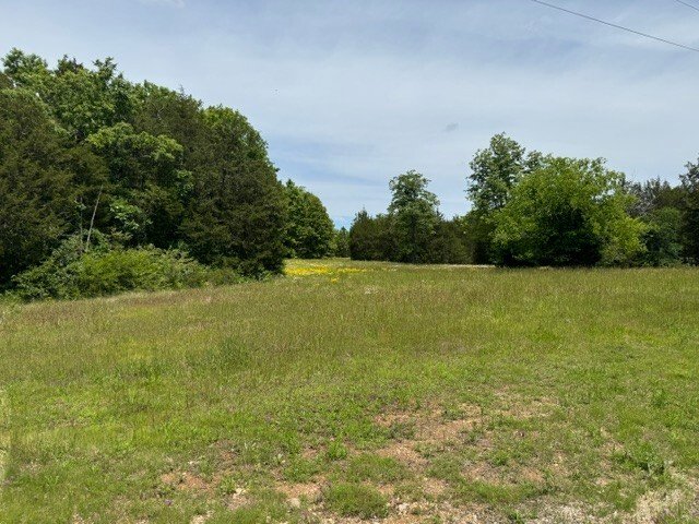 House in Columbia, Tennessee, United States 5 - 17896006