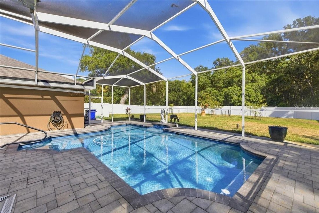 House in Trinity, Florida, United States 3 - 17898418