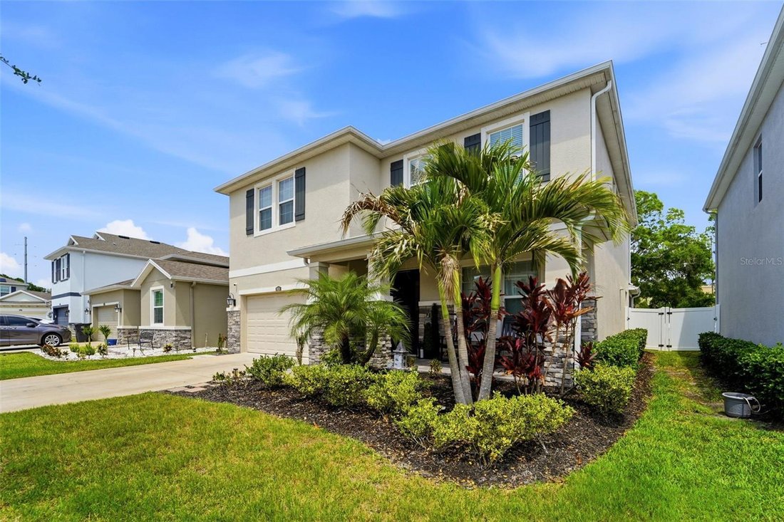 House in Tampa, Florida, United States 5 - 17898472