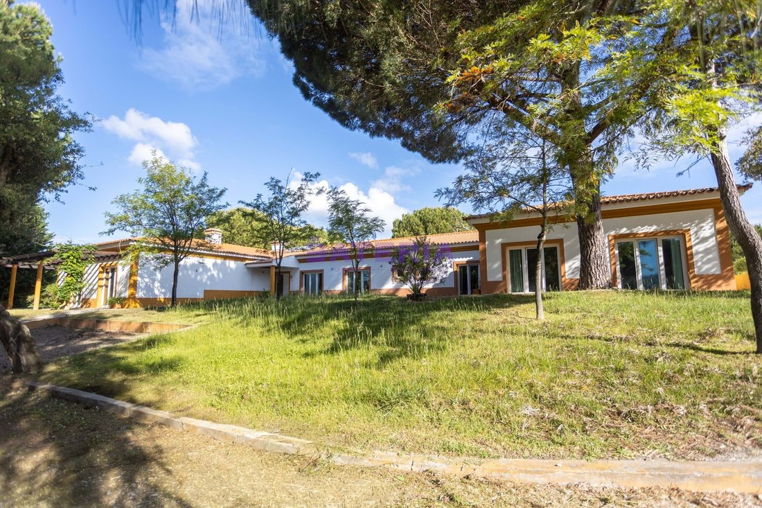 Farm Ranch in Benavente, Santarem District, Portugal 2 - 17897793