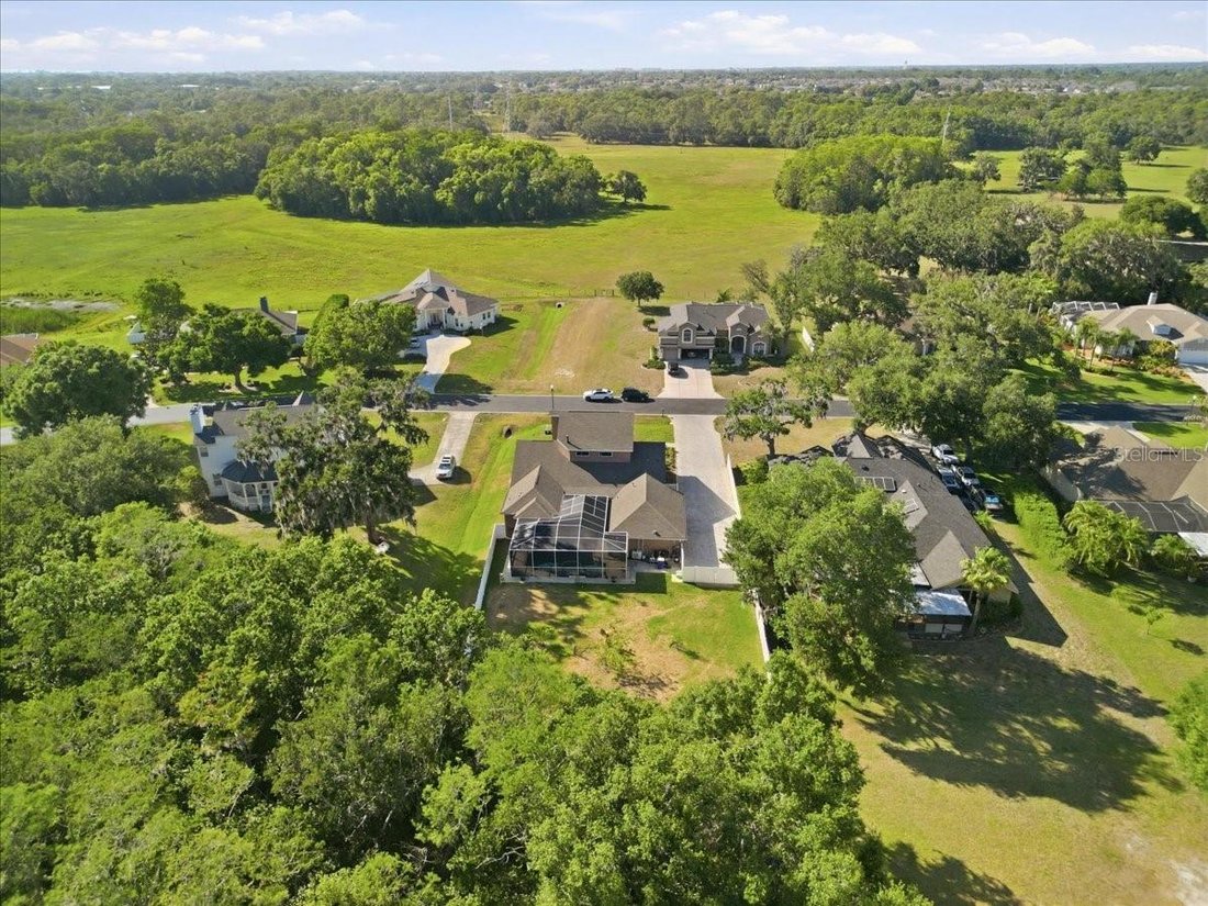 House in Trinity, Florida, United States 2 - 17898418