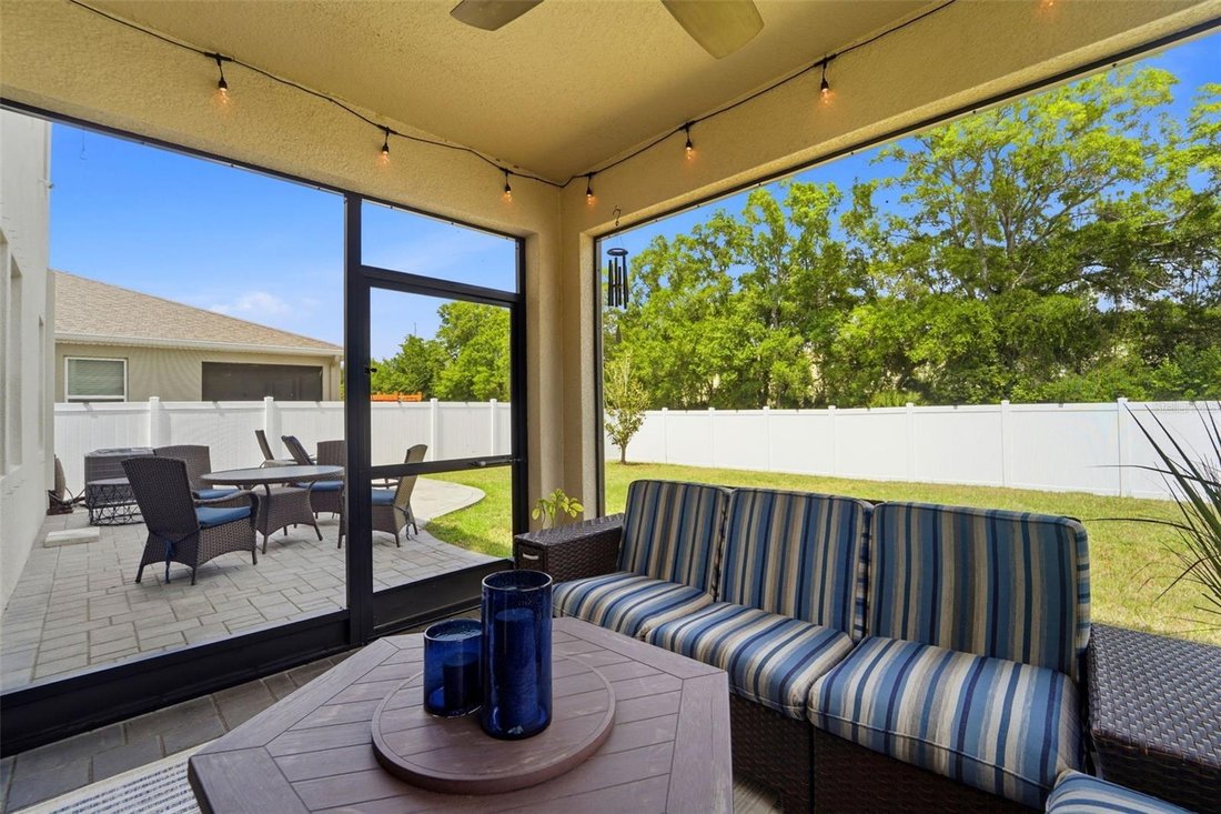 House in Tampa, Florida, United States 3 - 17898472
