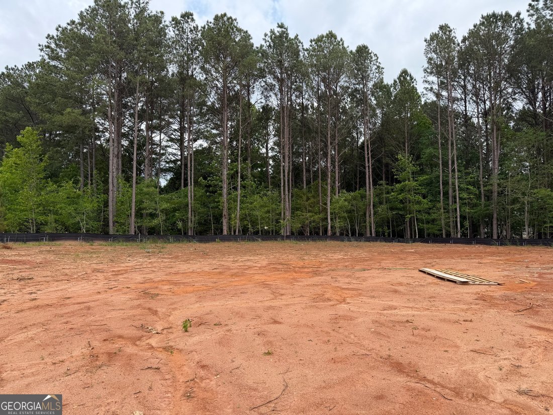 House in Fayetteville, Georgia, United States 5 - 17899735
