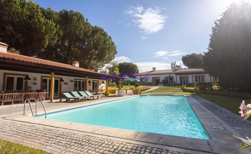Azienda agricola a Benavente, Distretto di Santarém, Portogallo 1