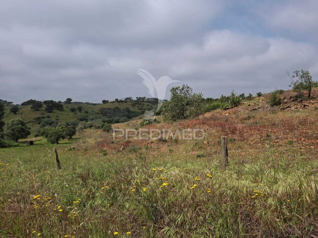 Land in Corte do Pinto, Beja District, Portugal 5 - 17902277