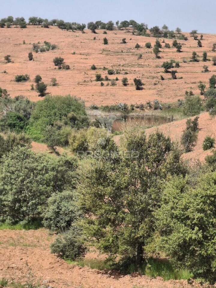 Land in Corte do Pinto, Beja District, Portugal 4 - 17902277