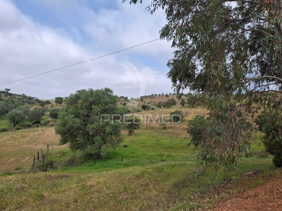 Land in Corte do Pinto, Beja District, Portugal 3 - 17902277