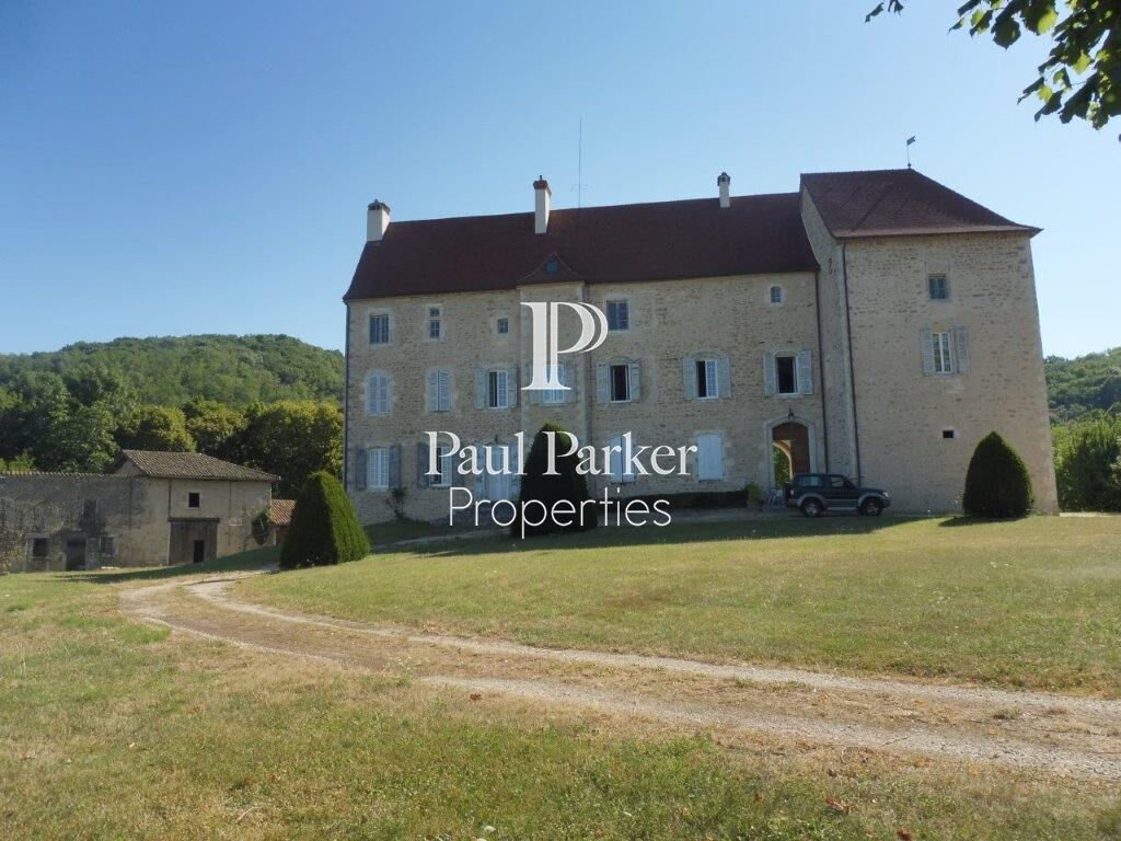 Chateau in Neuville-sur-Ain, Auvergne-Rhône-Alpes, France 3 - 17902483