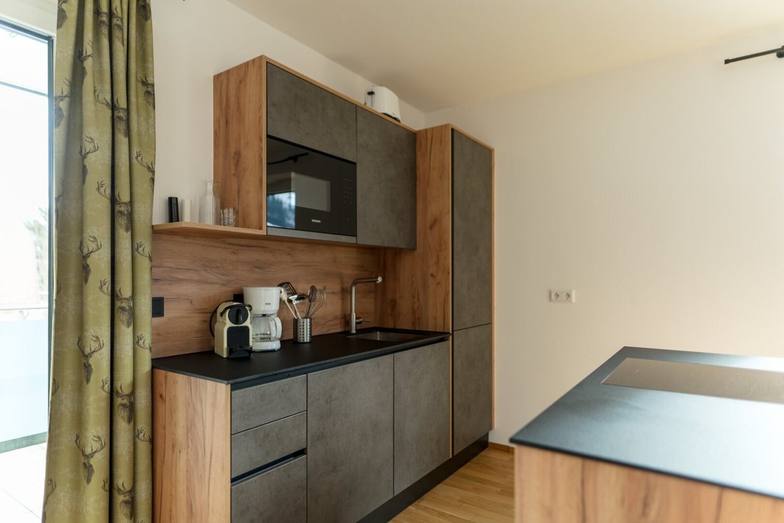 Apartment in Schladming, Styria, Austria 5 - 17902732