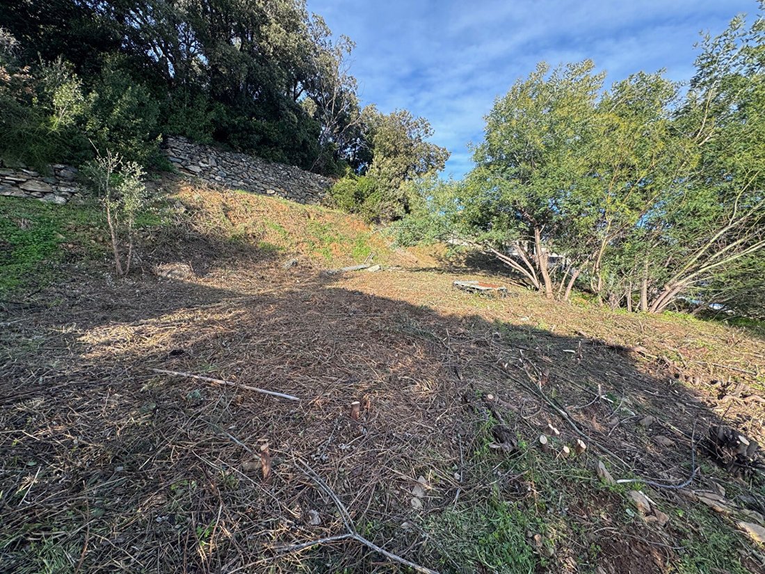 Land in Brando, Corsica, France 2 - 17902371