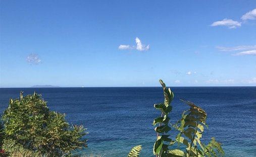 Land in Brando, Corsica, France 1