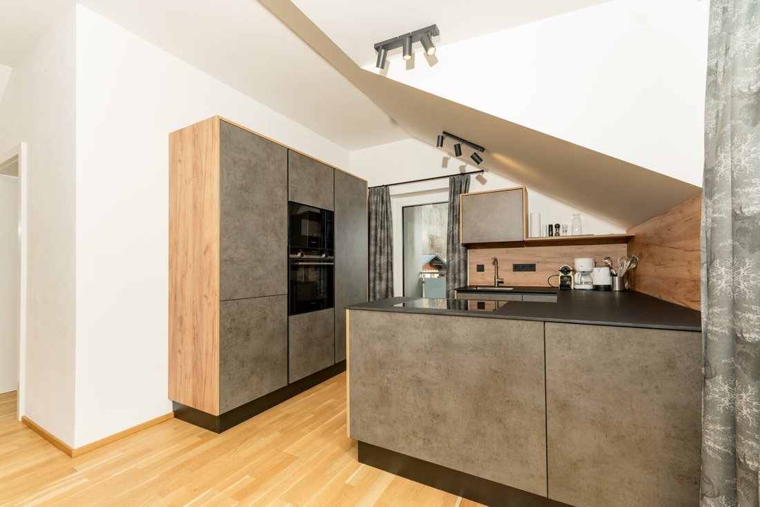 Apartment in Schladming, Styria, Austria 4 - 17902748