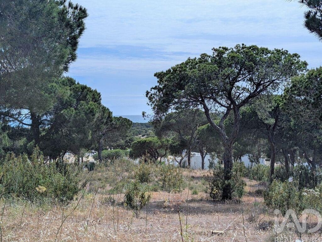 Land in Almancil, Algarve, Portugal 3 - 11531642