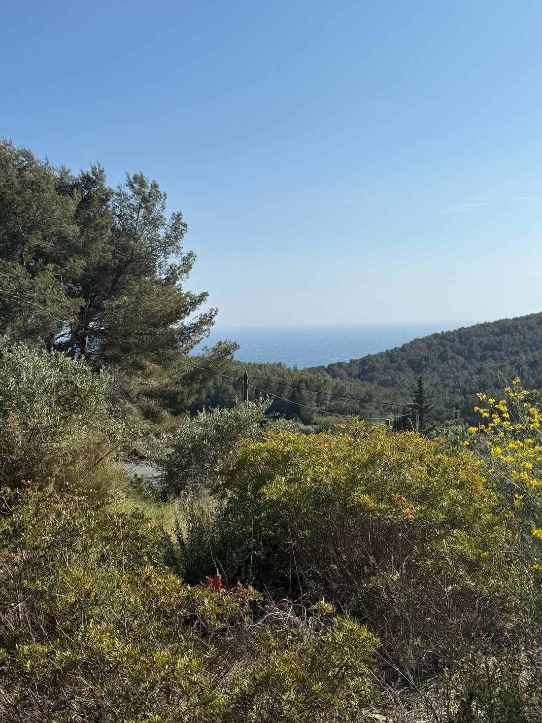 Land in Beaucours-La Gorguette-La Morvenede, Sanary-sur-Mer, France 3 - 17902579