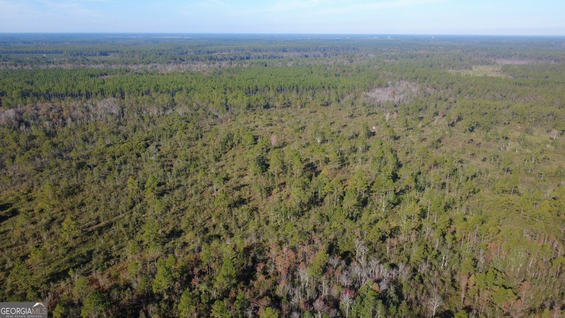 Land in Homerville, Georgia, United States 2 - 17903134