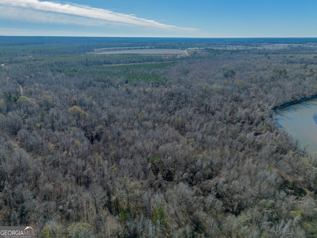 Farm Ranch in Lumber City, Georgia, United States 5 - 17903121