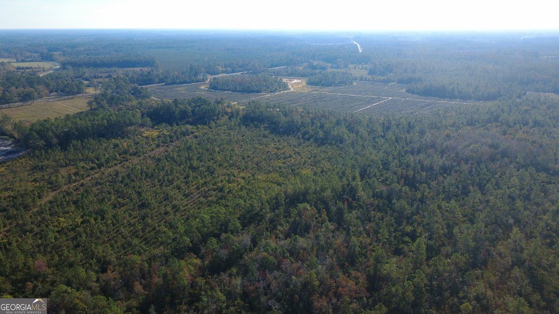 Land in Homerville, Georgia, United States 5 - 17903134