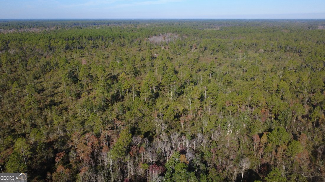 Land in Homerville, Georgia, United States 3 - 17903134